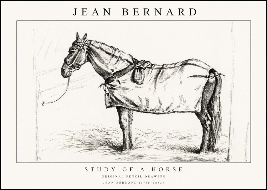 Jean Bernard Study of a Horse XI No1 - Poszter