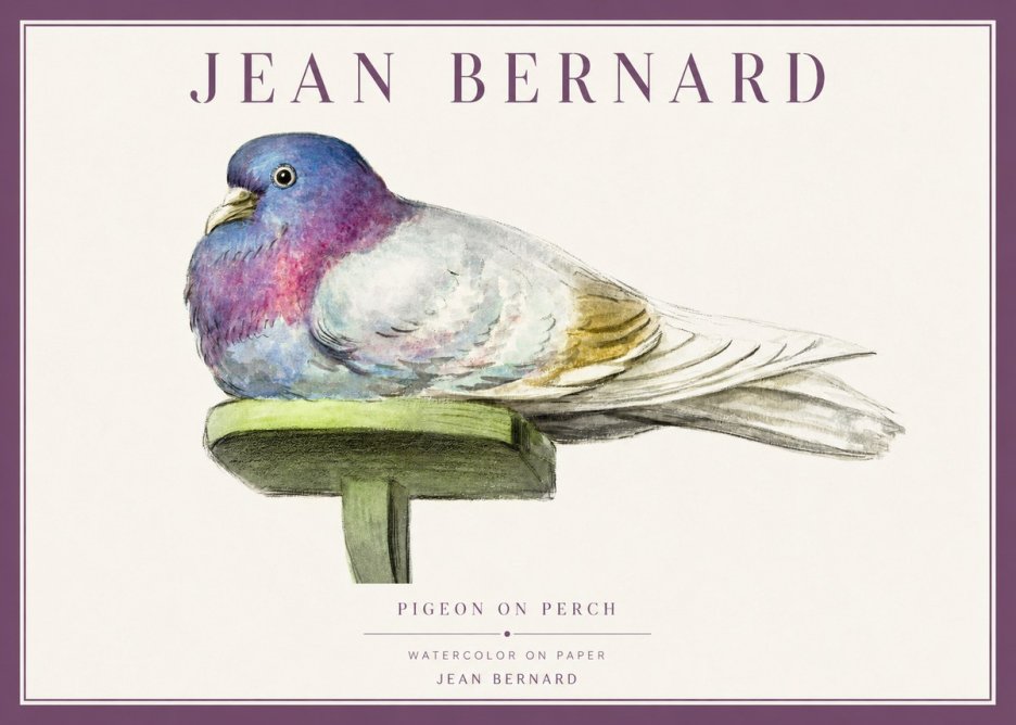Jean Bernard Pigeon on Perch No1 - Poszter