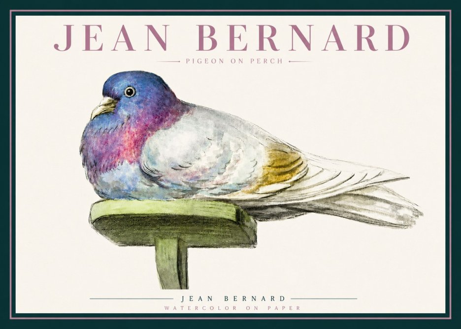Jean Bernard Pigeon on Perch No3 - Poszter