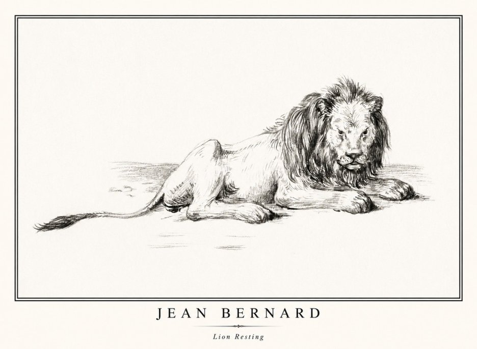 Jean Bernard Lion Resting No1 - Poszter