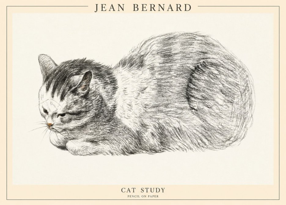 Jean Bernard Cat Study X No1 - Poszter