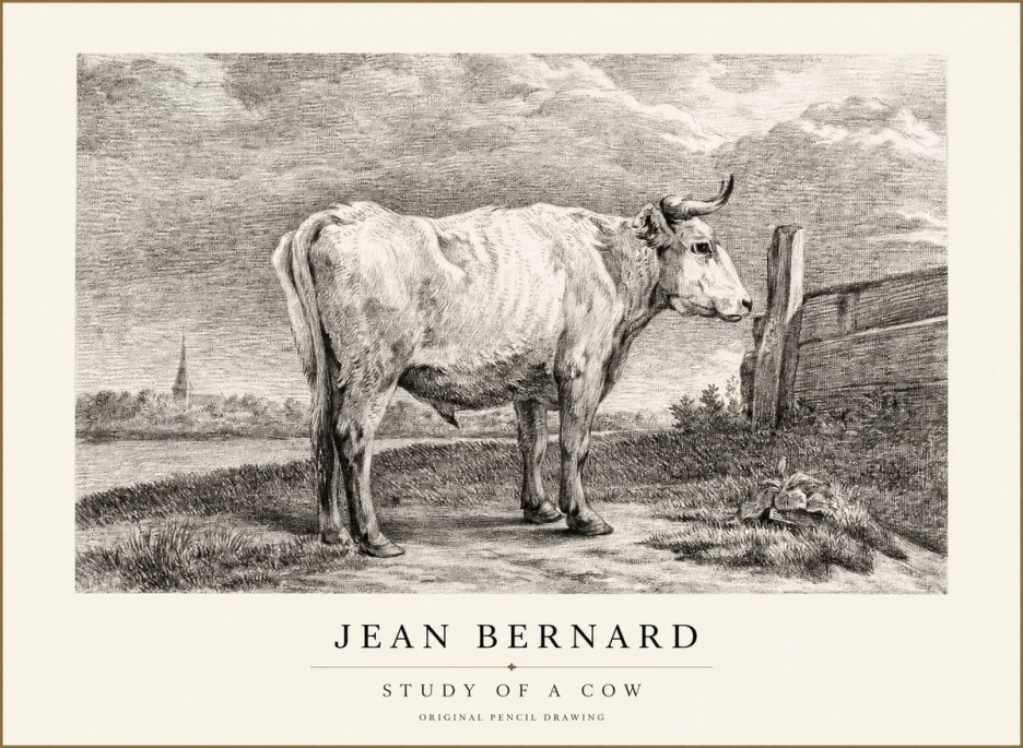 Jean Bernard Study of a Cow XV No1 - Poszter