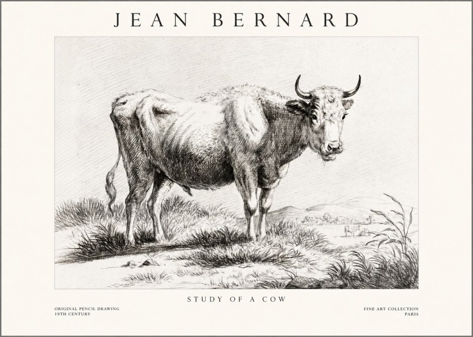 Jean Bernard Study of a Cow XVI No1 - Poszter