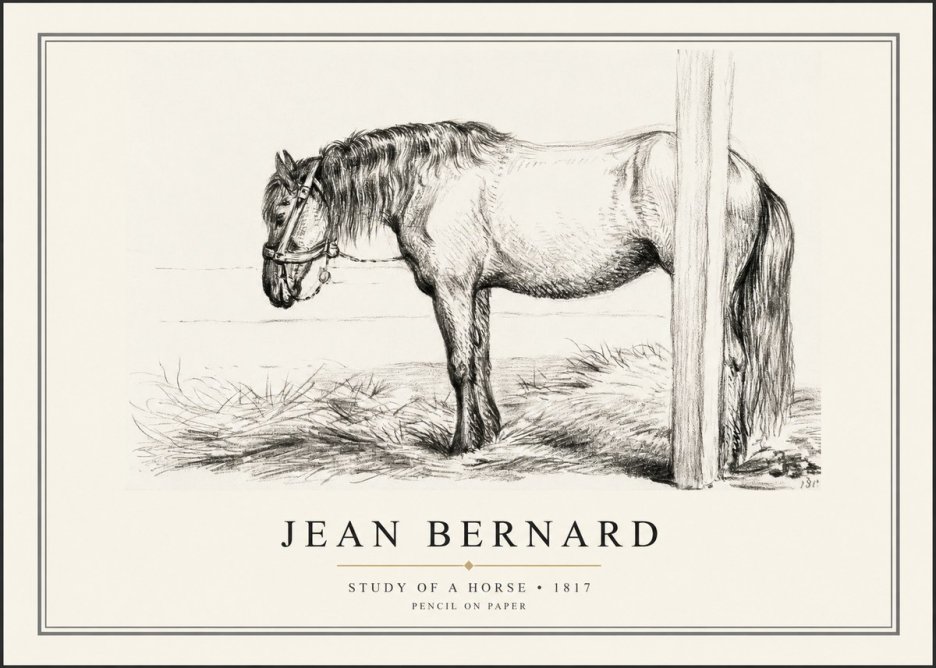 Jean Bernard Study of a Horse XII No1 - Poszter