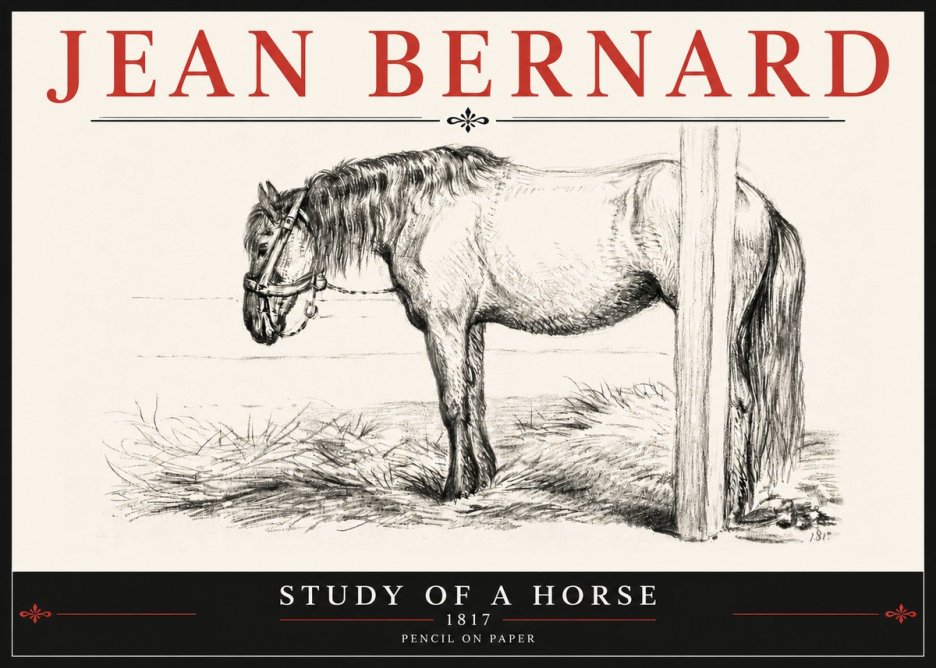 Jean Bernard Study of a Horse XII No6 - Poszter