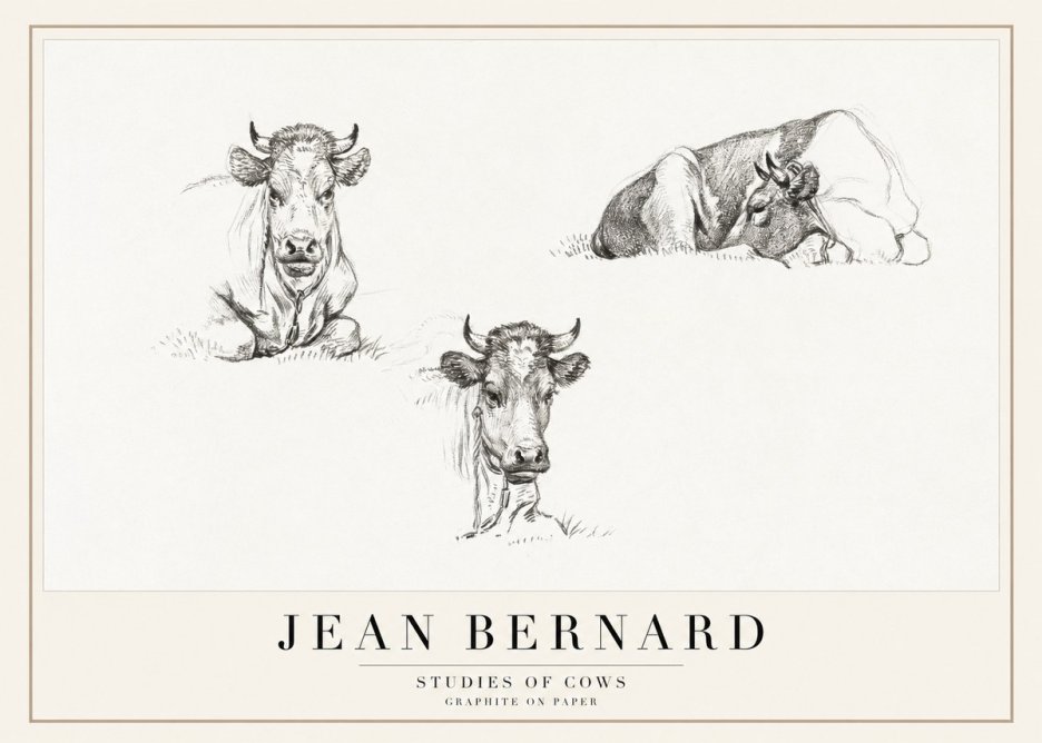 Jean Bernard Studies of Cows II No1 - Poszter