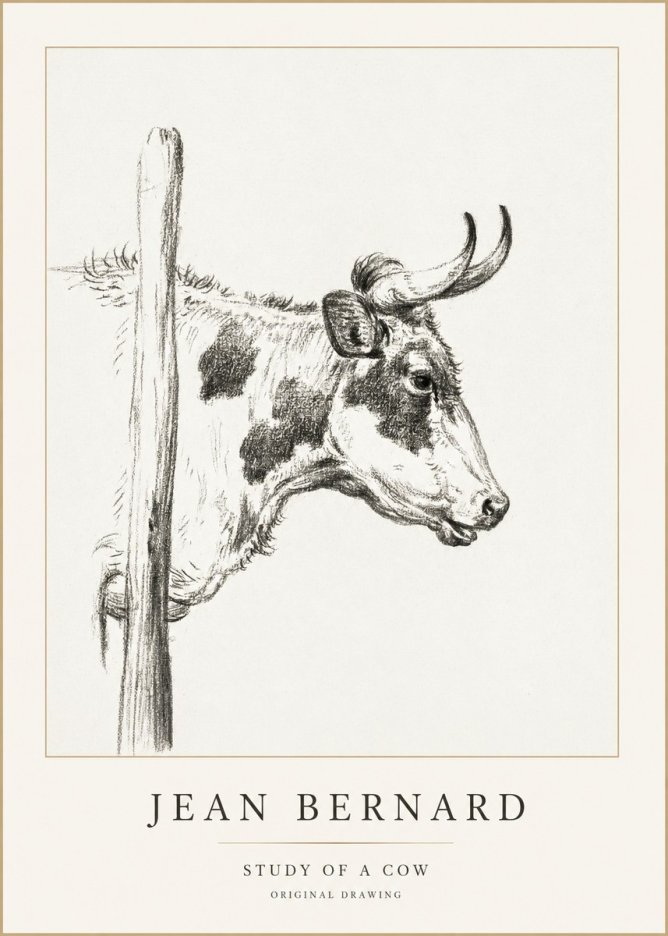 Jean Bernard Study of a Cow XVII No1 - Poszter