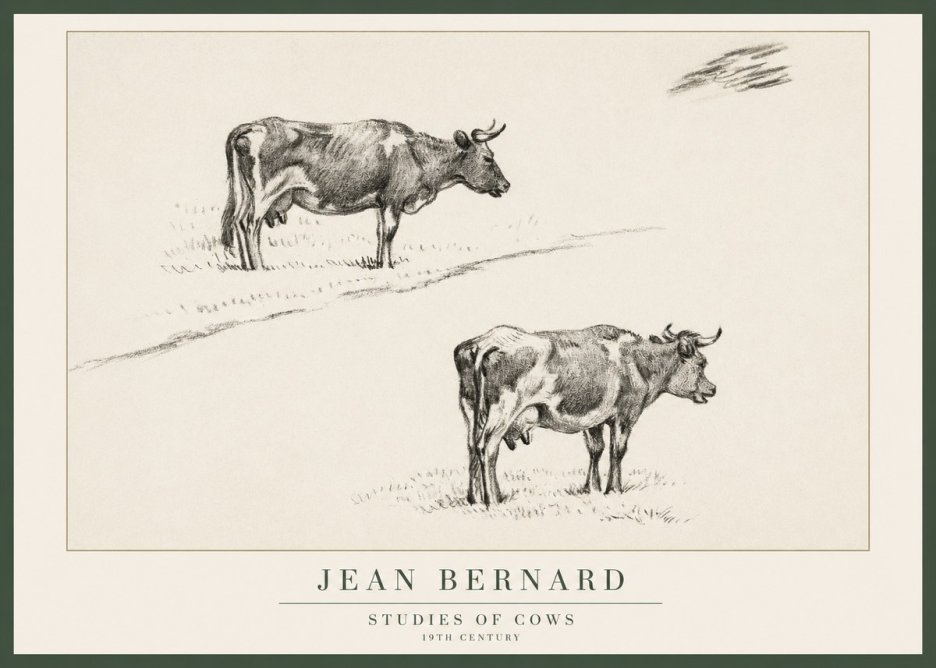 Jean Bernard Studies of Cows III No1 - Poszter