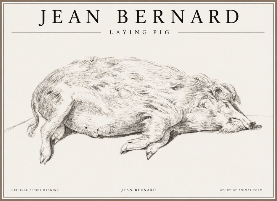 Jean Bernard Laying Pig No1 - Poszter