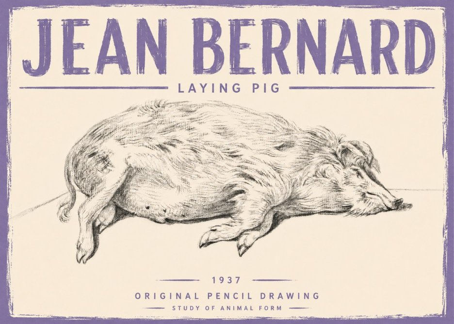 Jean Bernard Laying Pig No5 - Poszter