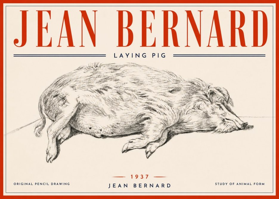 Jean Bernard Laying Pig No6 - Poszter