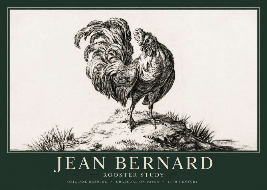 Jean Bernard Study of a Rooster No2 - Poszter