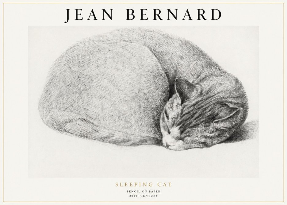 Jean Bernard Sleeping Cat IX No1 - Poszter