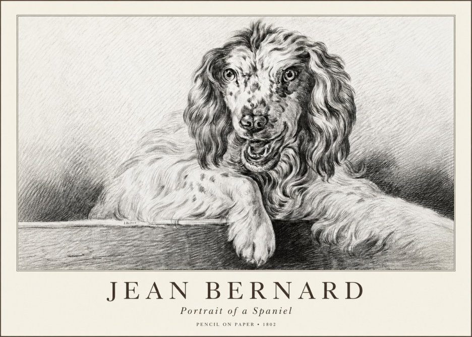 Jean Bernard Portrait of a Spaniel No1 - Poszter