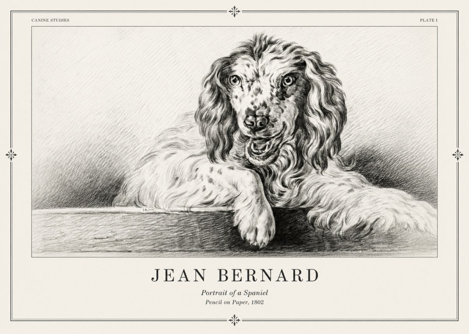 Jean Bernard Portrait of a Spaniel No2 - Poszter