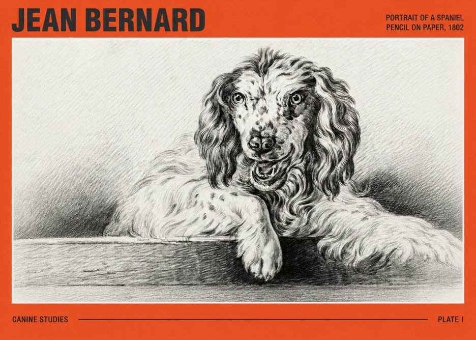 Jean Bernard Portrait of a Spaniel No3 - Poszter