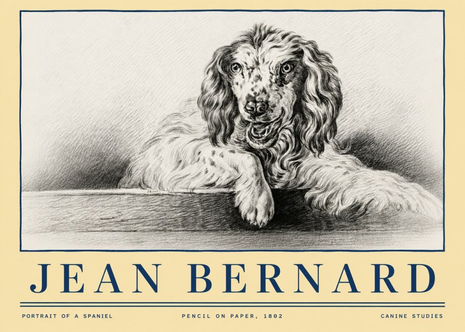 Jean Bernard Portrait of a Spaniel No4 - Poszter