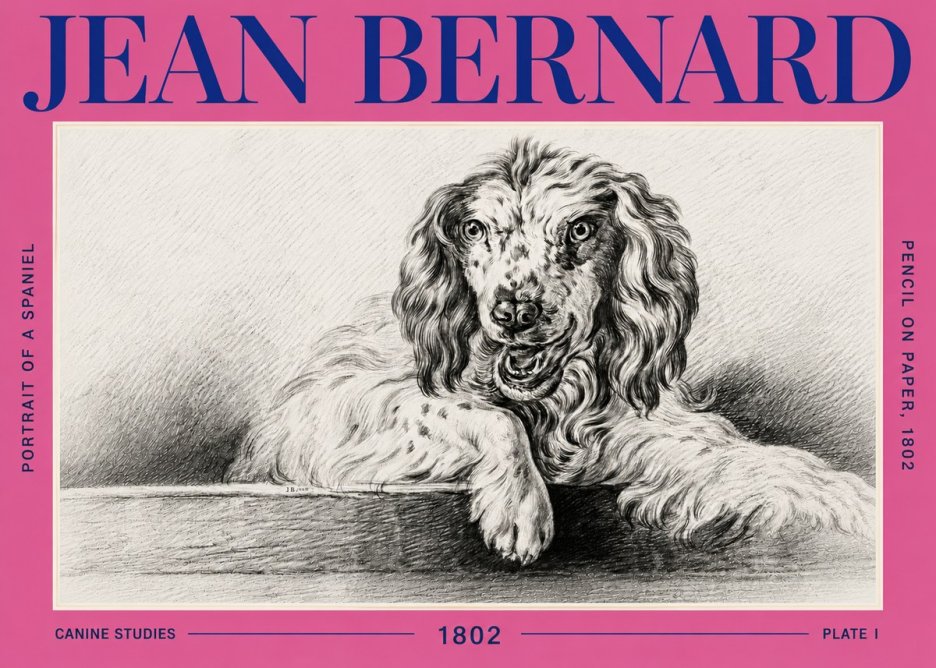 Jean Bernard Portrait of a Spaniel No6 - Poszter