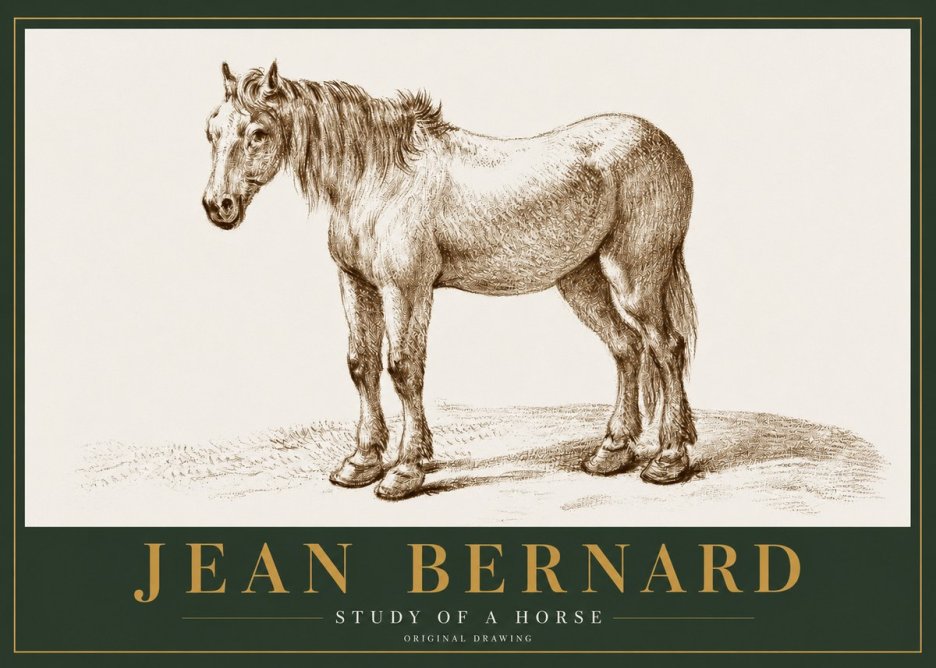 Jean Bernard Study of a Horse XIV No2 - Poszter