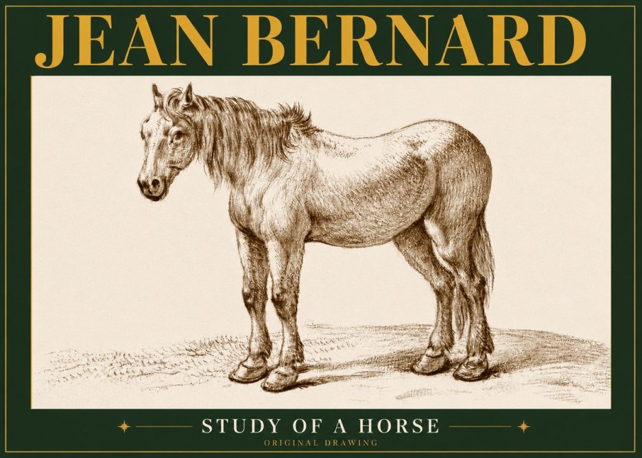 Jean Bernard Study of a Horse XIV No5 - Poszter