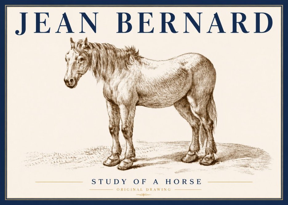 Jean Bernard Study of a Horse XIV No6 - Poszter