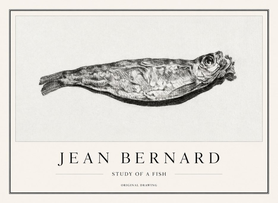 Jean Bernard Study of a Fish V No1 - Poszter