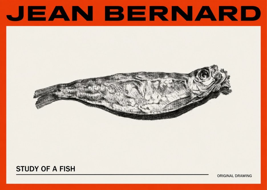 Jean Bernard Study of a Fish V No2 - Poszter