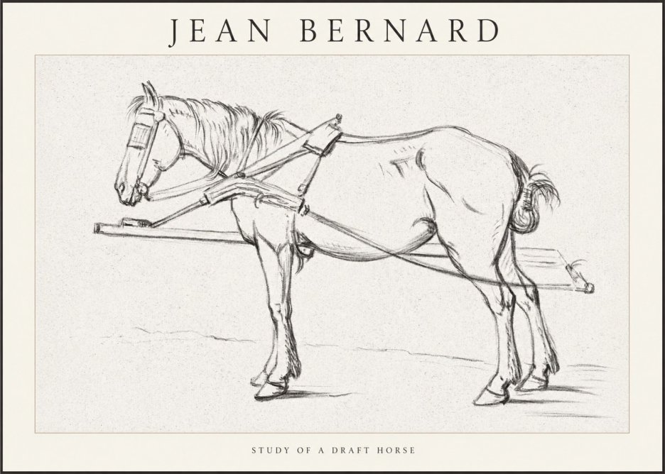 Jean Bernard Study of a Draft Horse II No1 - Poszter