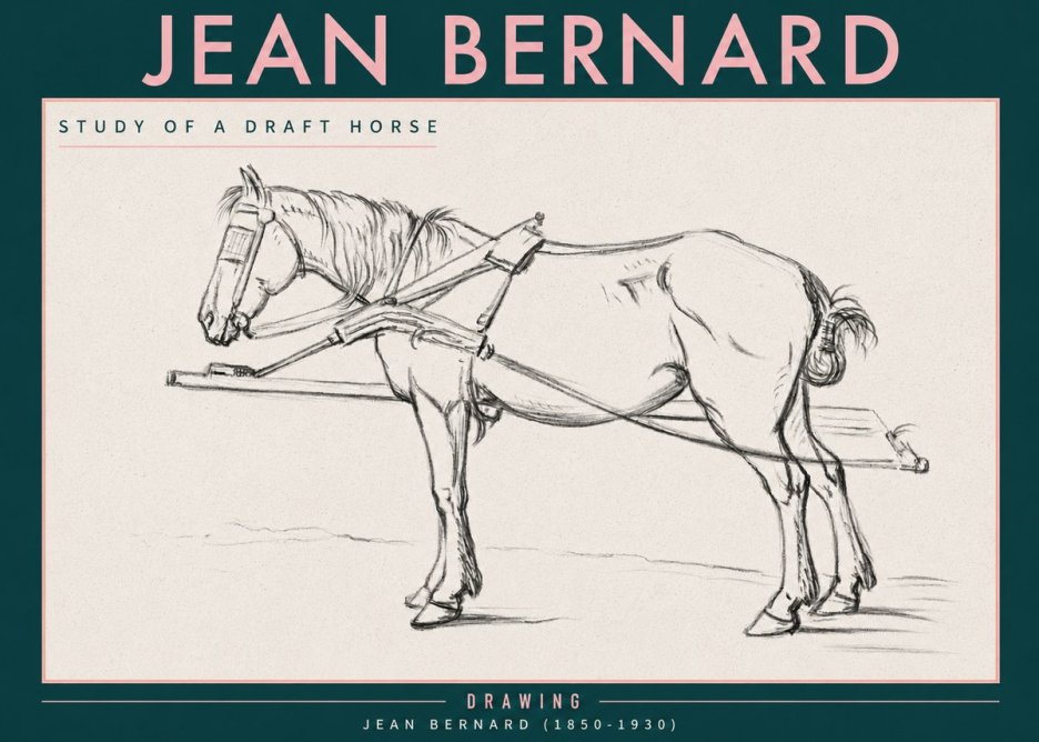 Jean Bernard Study of a Draft Horse II No3 - Poszter