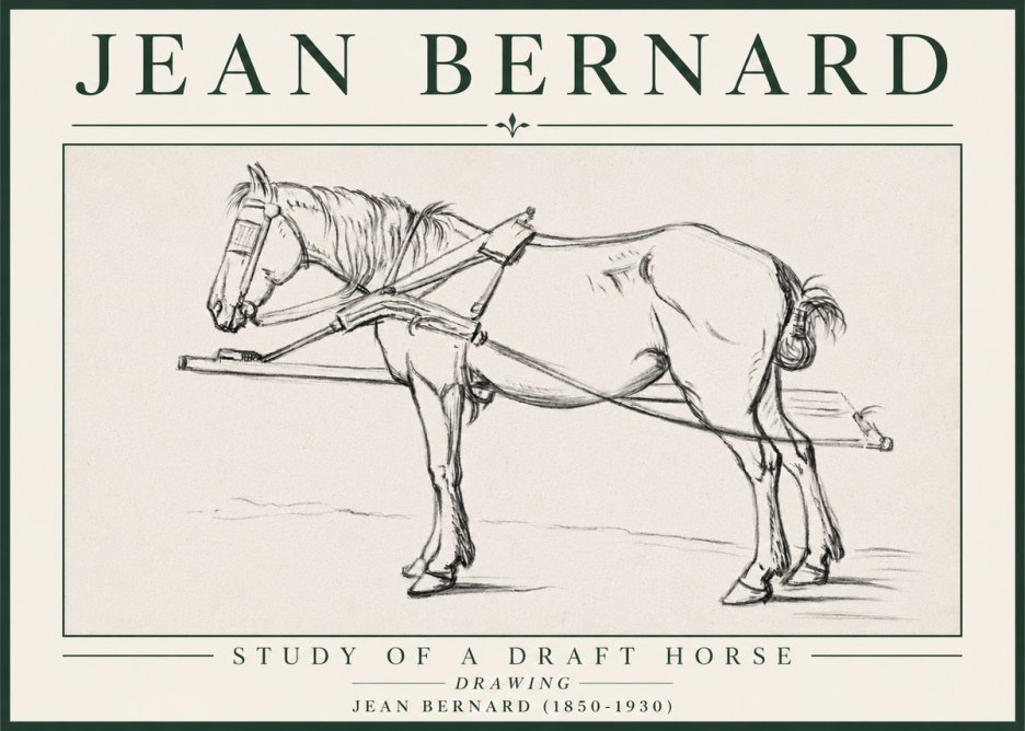 Jean Bernard Study of a Draft Horse II No4 - Poszter