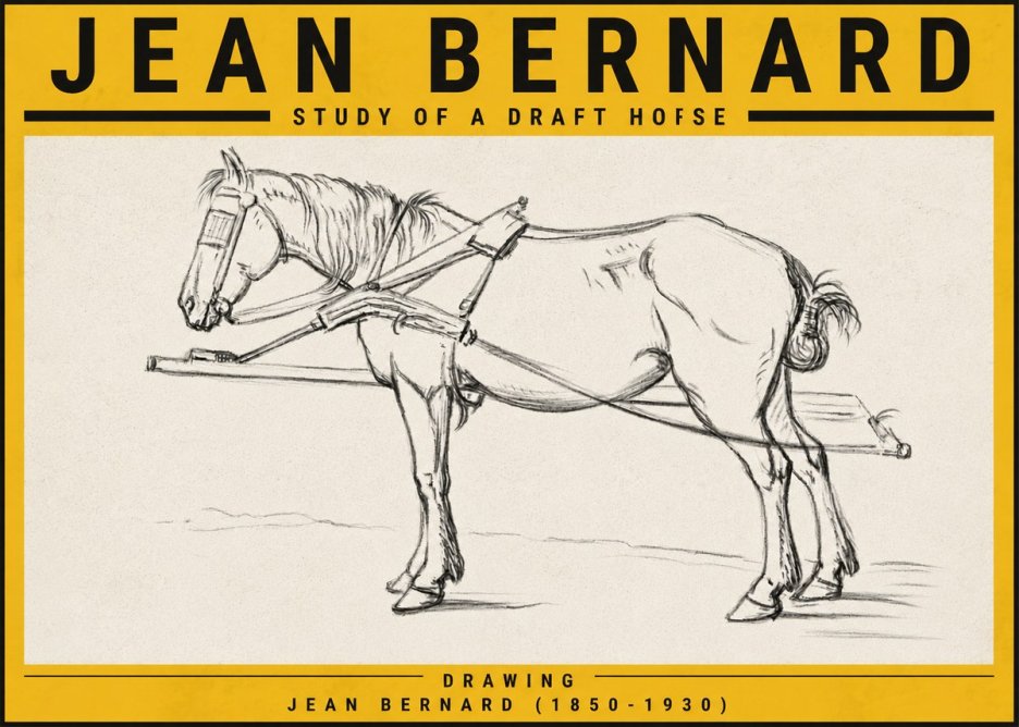 Jean Bernard Study of a Draft Horse II No5 - Poszter