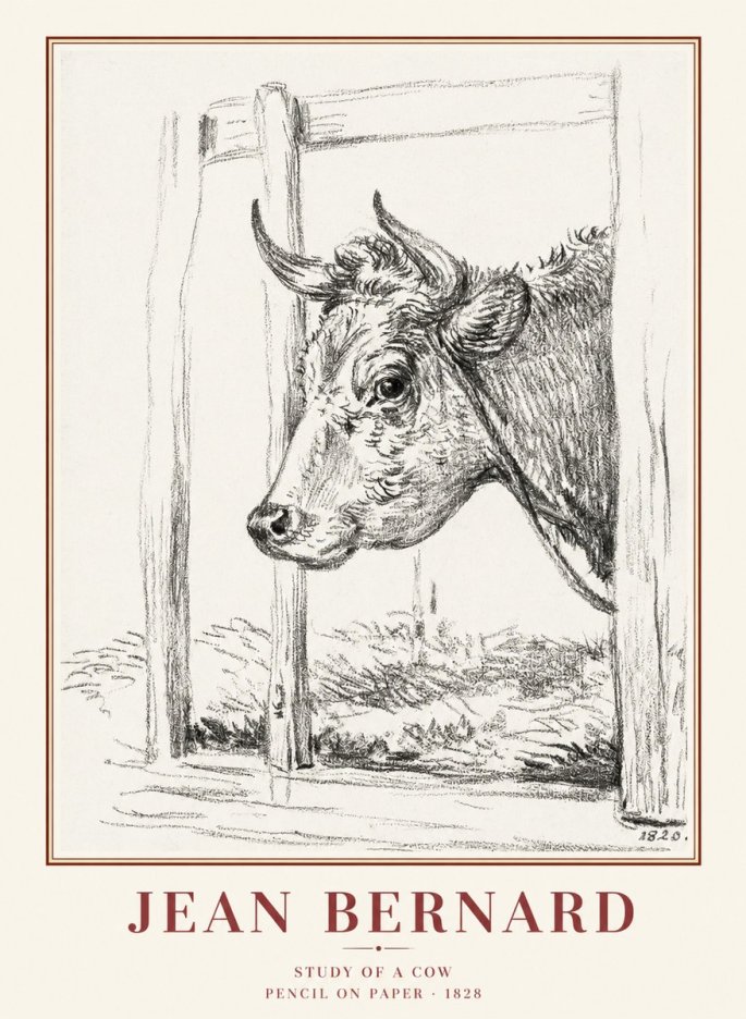 Jean Bernard Study of a Cow XVIII No1 - Poszter