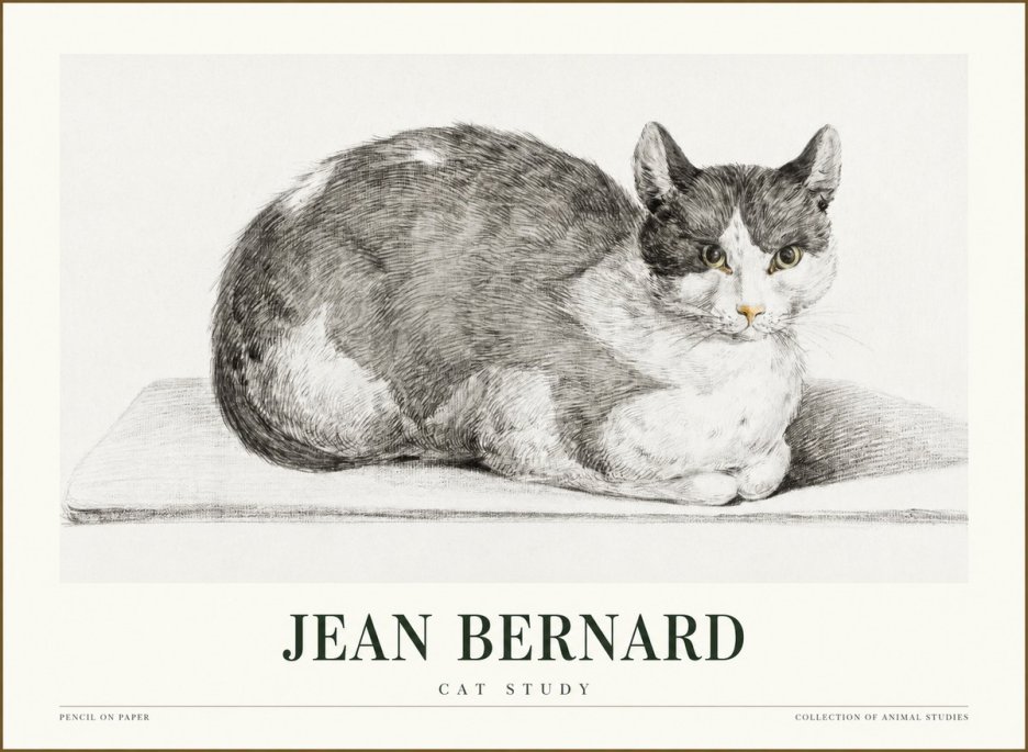Jean Bernard Cat Study XI No1 - Poszter
