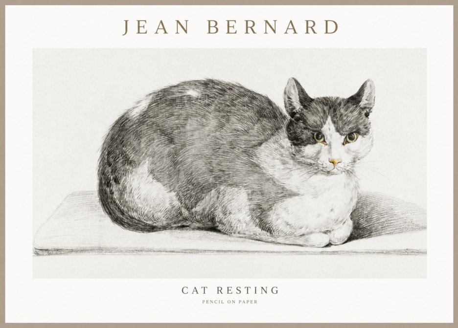 Jean Bernard Cat Study XI No3 - Poszter