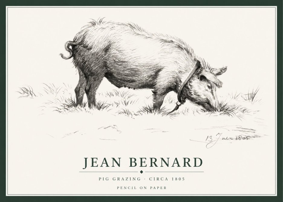 Jean Bernard Pig Grazing No1 - Poszter