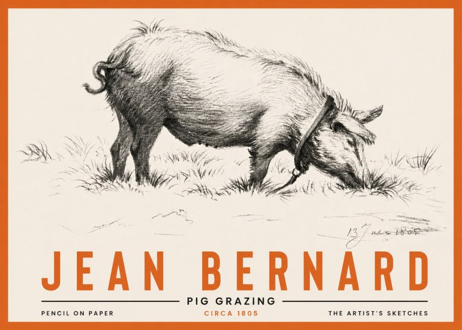 Jean Bernard Pig Grazing No4 - Poszter