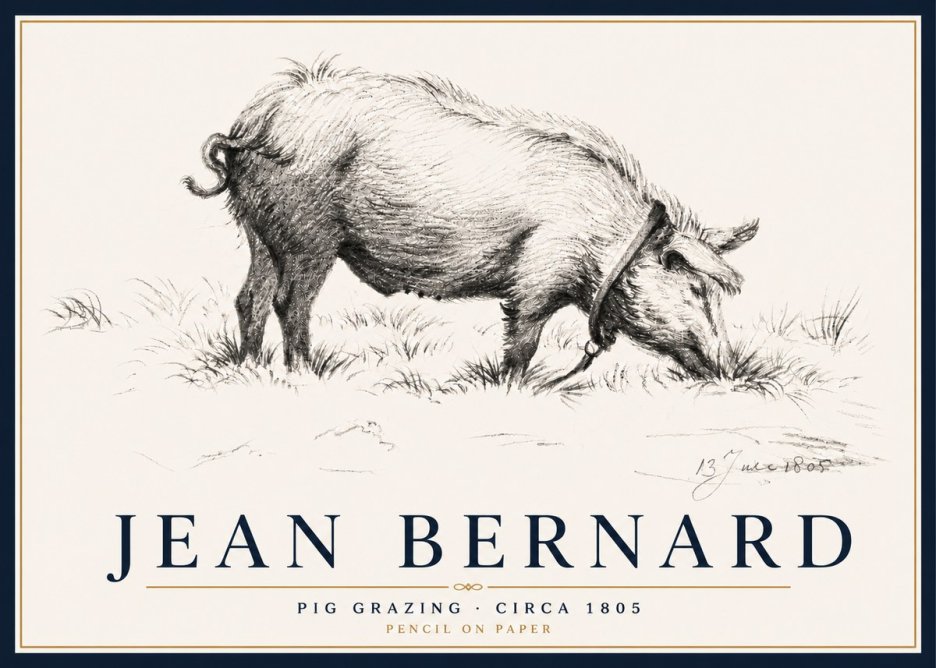 Jean Bernard Pig Grazing No5 - Poszter