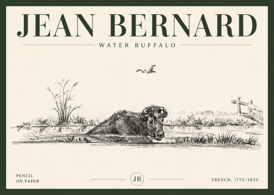 Jean Bernard Study of a Water Buffalo No6 - Poszter