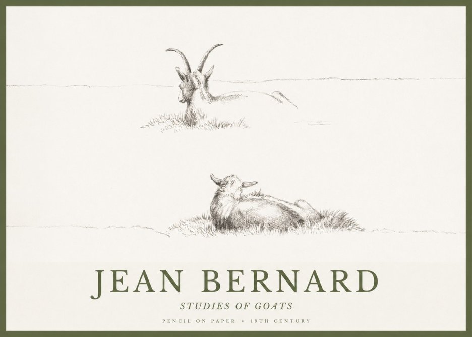 Jean Bernard Two Goats Resting No2 - Poszter