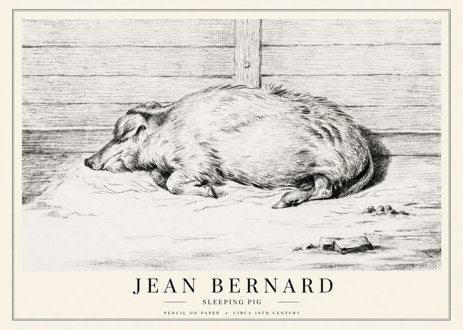 Jean Bernard Sleeping Pig I No1 - Poszter