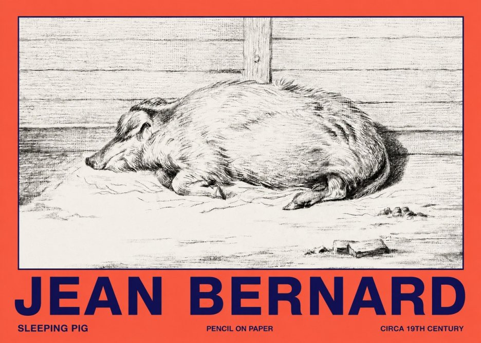 Jean Bernard Sleeping Pig I No2 - Poszter