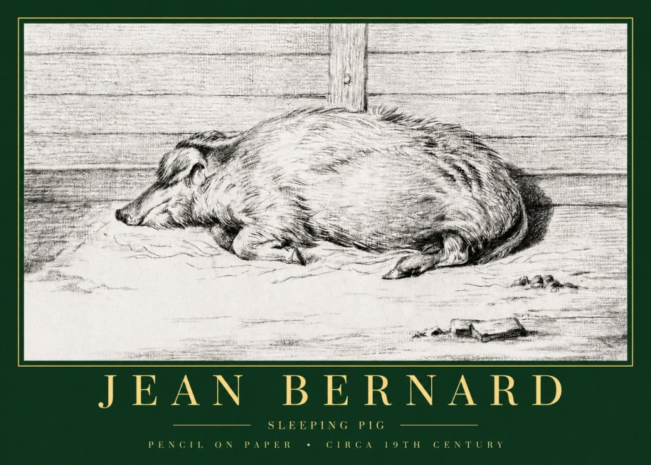 Jean Bernard Sleeping Pig I No3 - Poszter