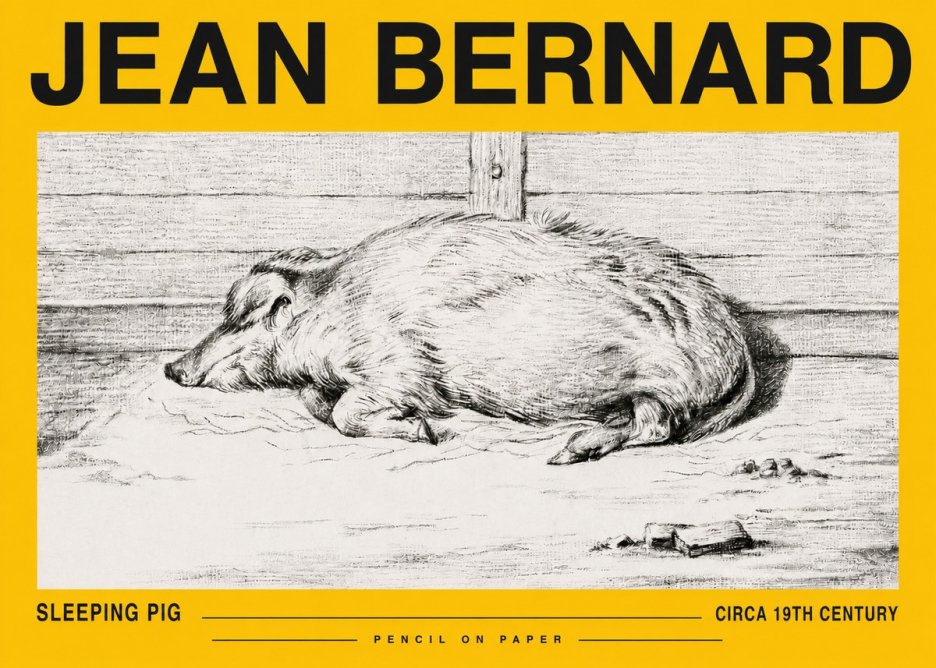 Jean Bernard Sleeping Pig I No5 - Poszter