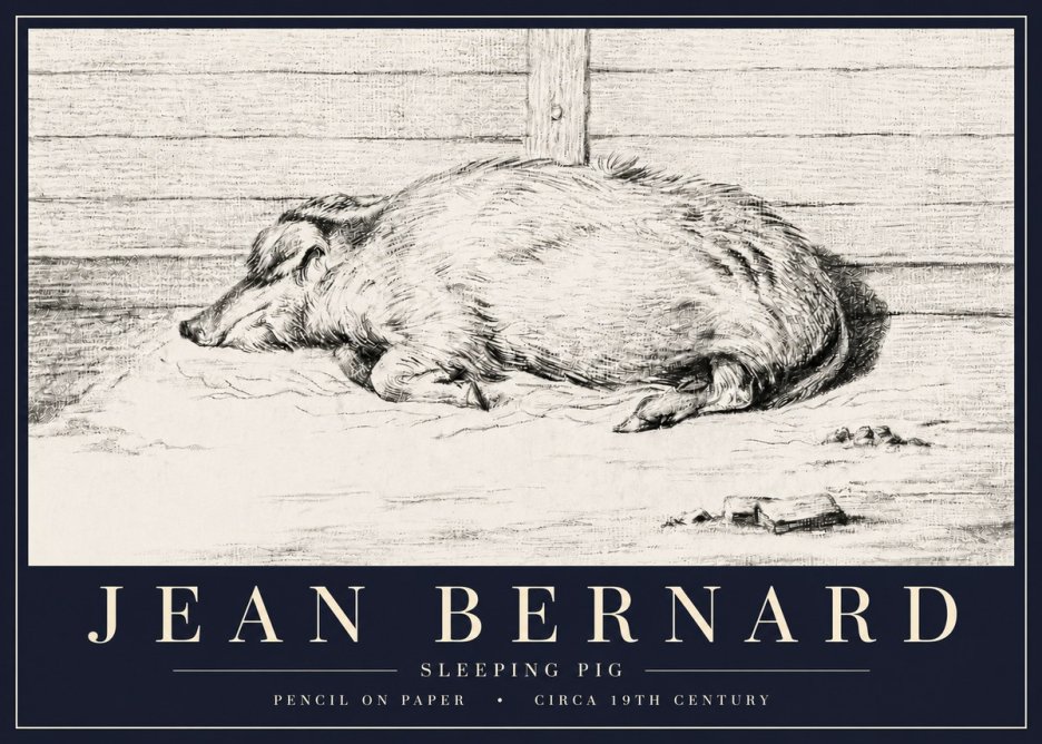 Jean Bernard Sleeping Pig I No6 - Poszter