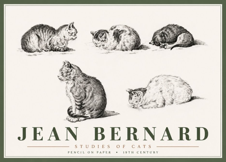 Jean Bernard Studies of Cats No6 - Poszter
