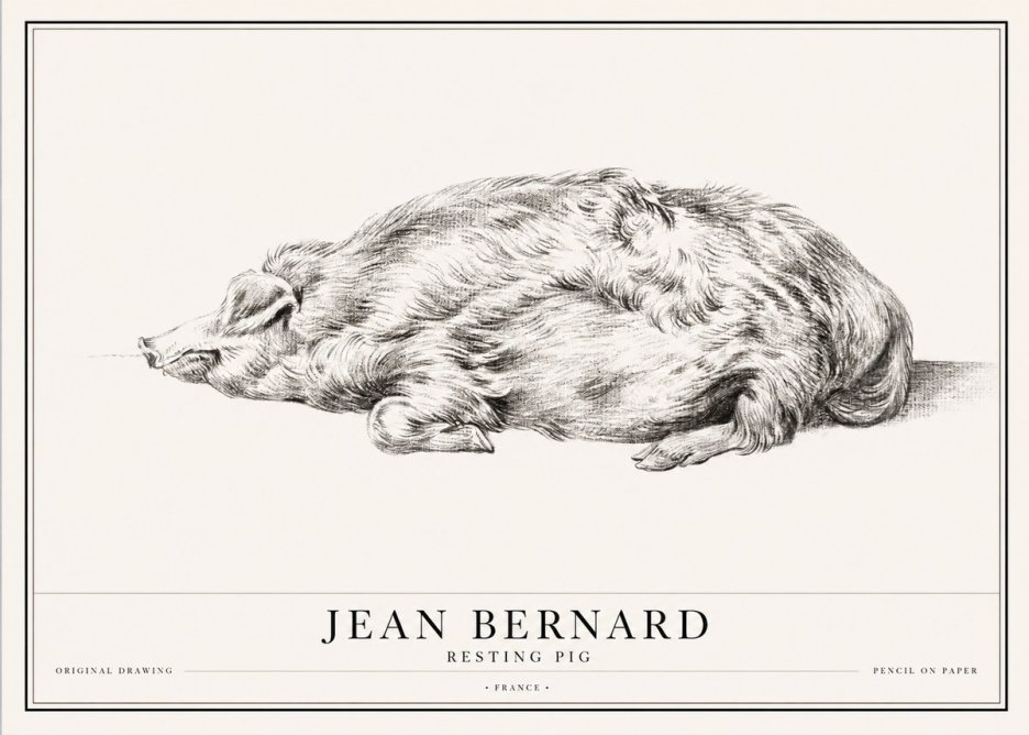 Jean Bernard Resting Pig II No1 - Poszter