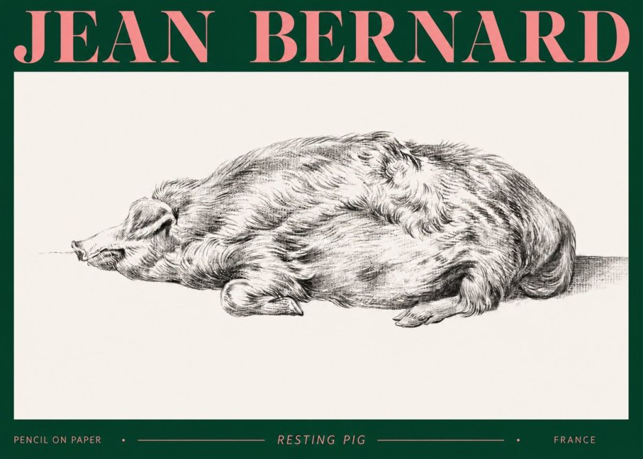 Jean Bernard Resting Pig II No2 - Poszter