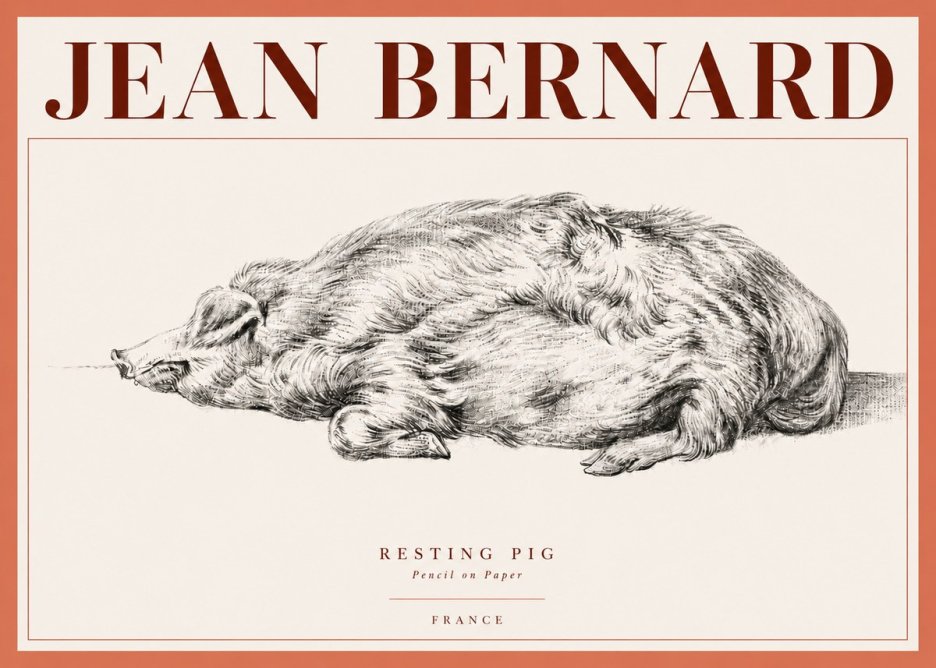 Jean Bernard Resting Pig II No4 - Poszter