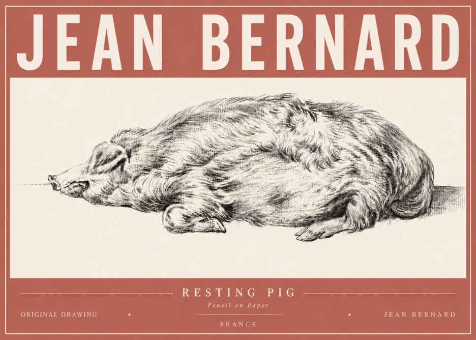 Jean Bernard Resting Pig II No6 - Poszter