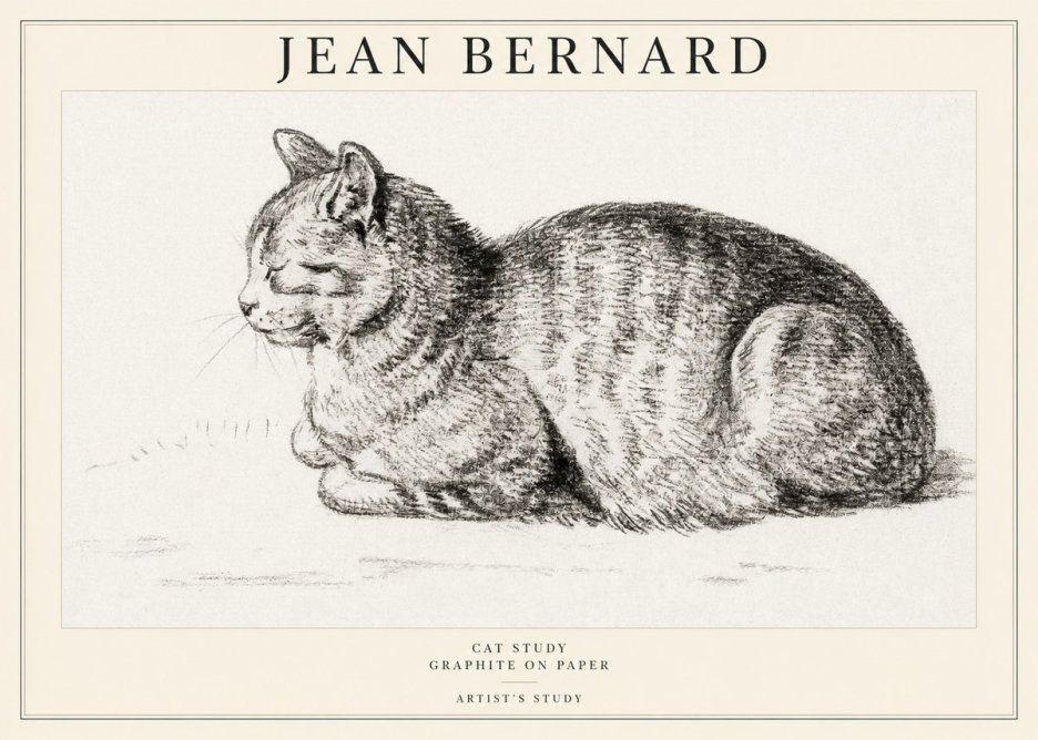 Jean Bernard Cat Study XII No1 - Poszter